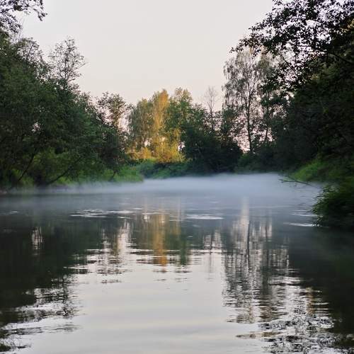 Photo #13252697