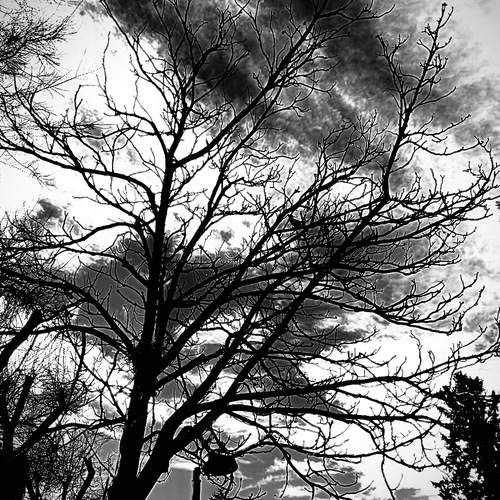 Photo #13252712