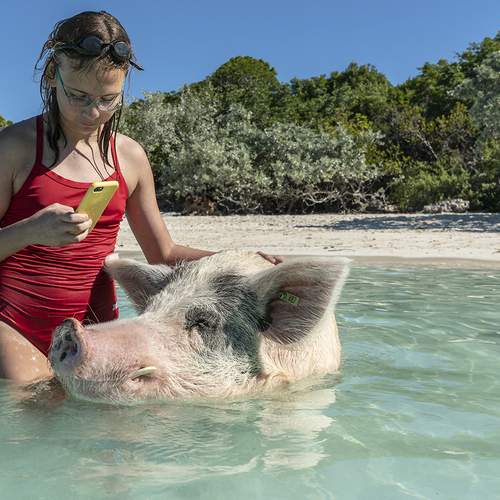 Unexpected Companion