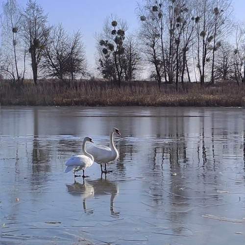 Photo #13252877