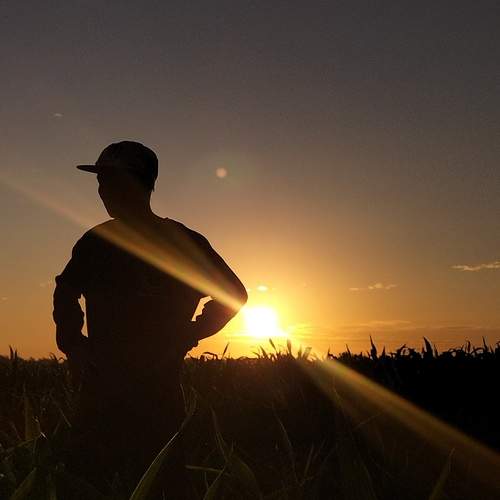 Photo #13252885