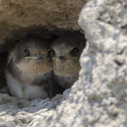 Photo #13252959