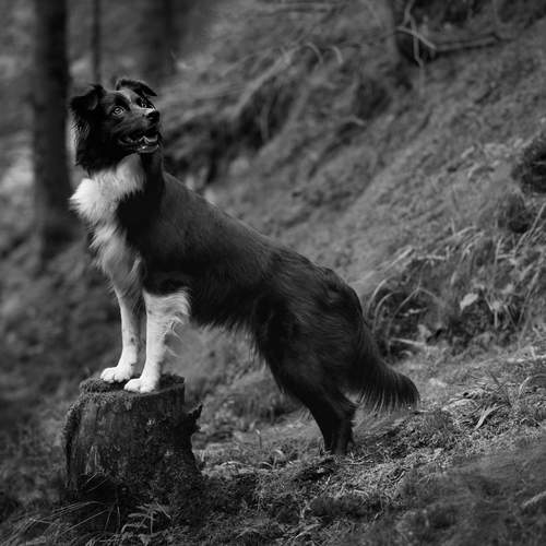 Photo #13253002