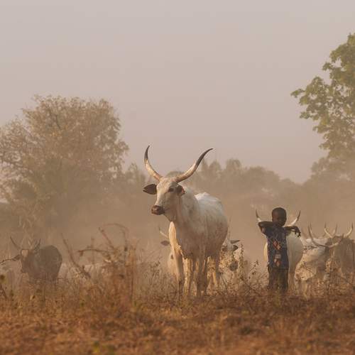 Photo #13253035