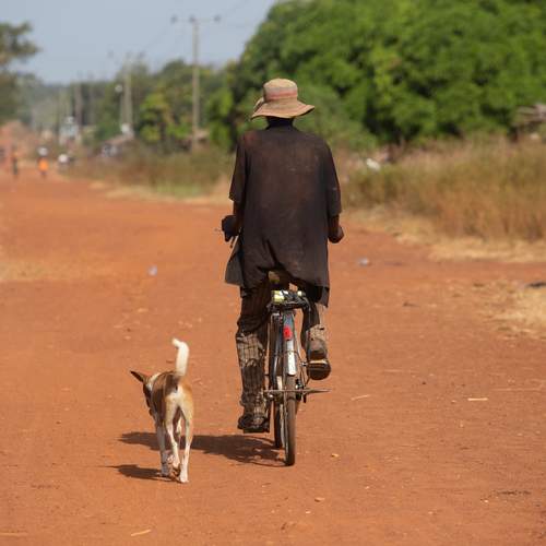 Photo #13253041