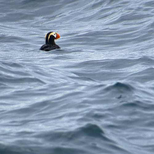 Фотография #13253058