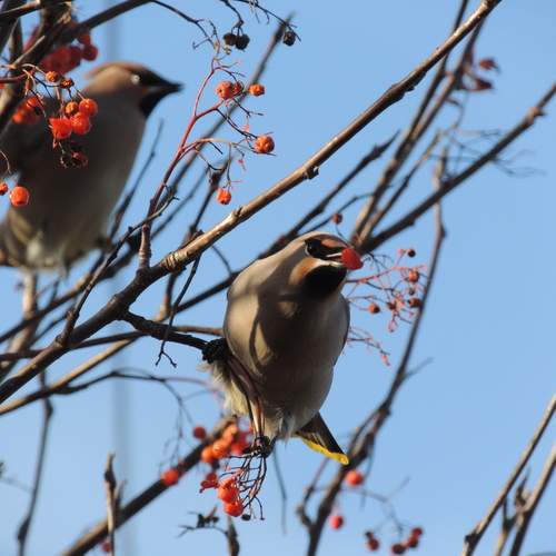 Photo #13253124