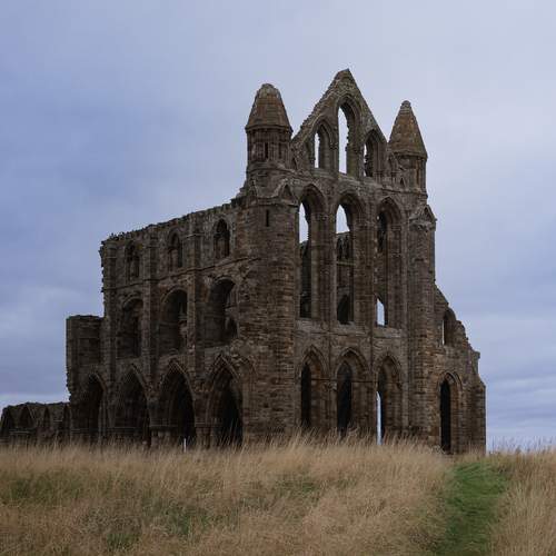 Photo #13253145