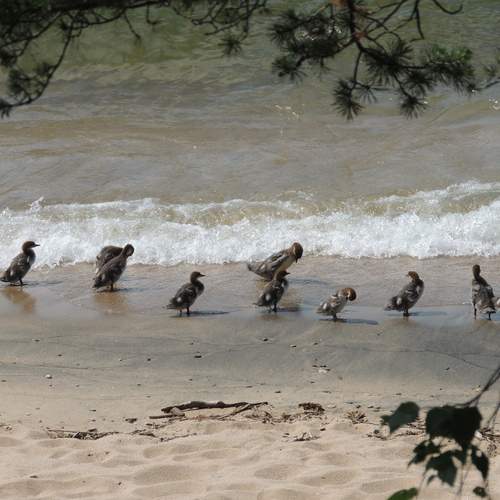 Photo #13253154