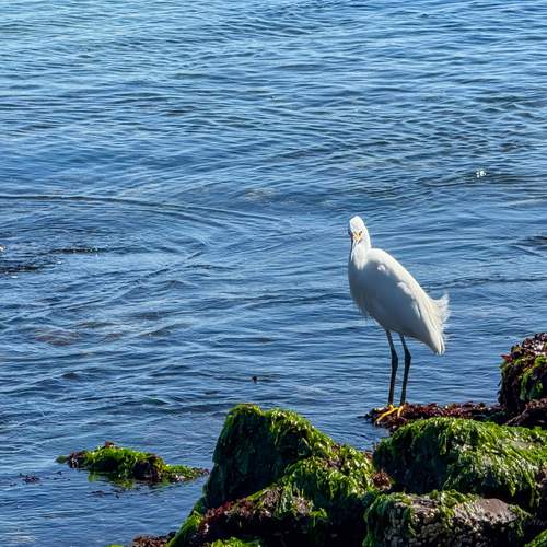 Photo #13253227