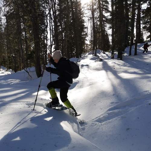 Photo #13253259