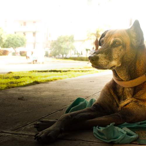 Photo #13253332