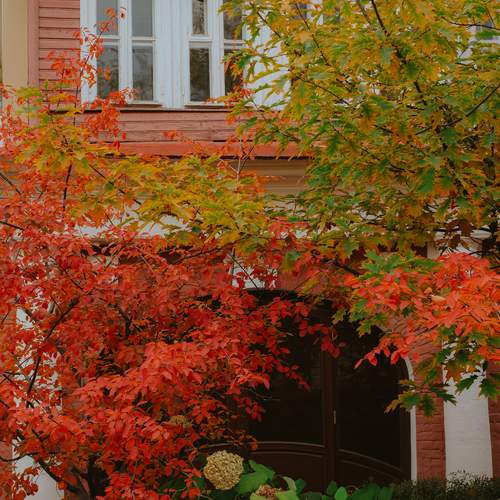 Photo #13253568