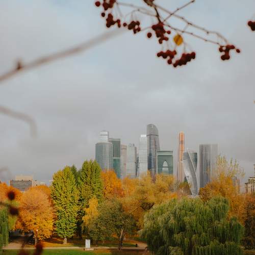 Photo #13253569