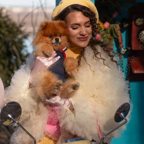 Photo #13253808