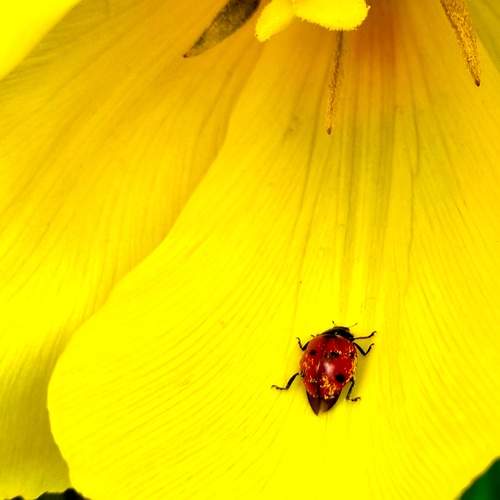 Photo #13253826
