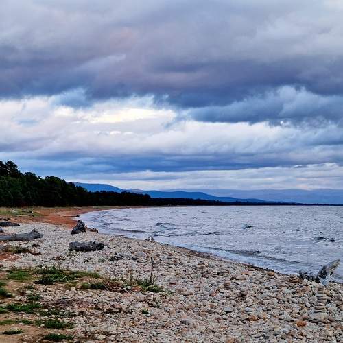 Photo #13253843
