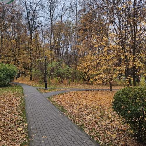 Photo #13253857