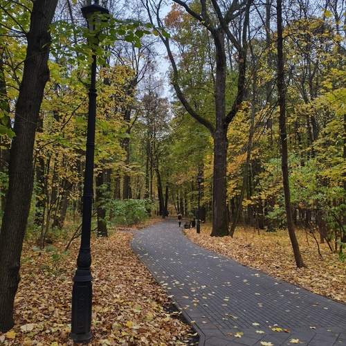 Photo #13253861