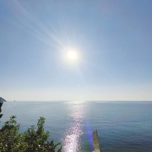 Photo #13253864