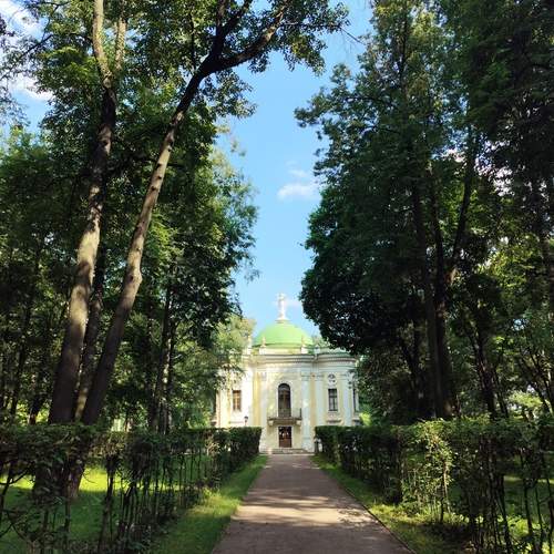 Photo #13253866
