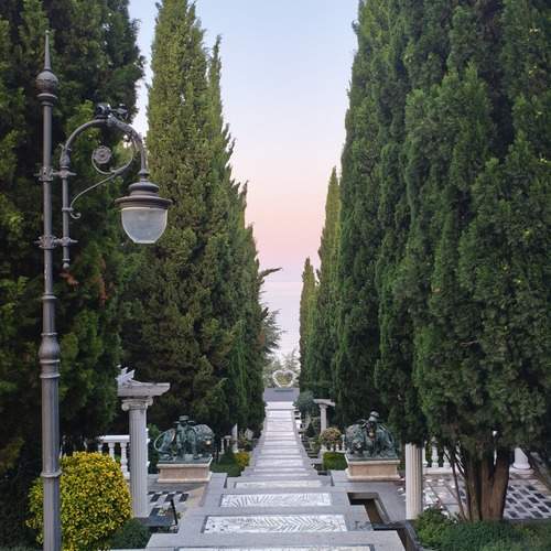 Photo #13253867