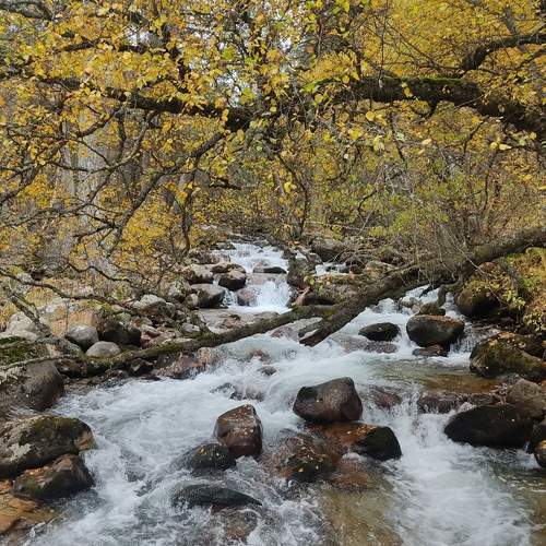 Photo #13254097
