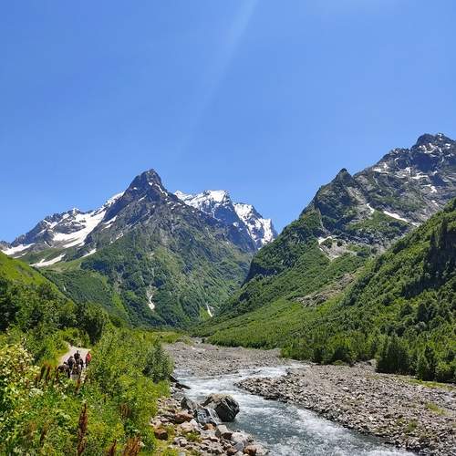 Photo #13254098