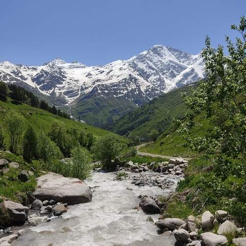 Photo #13254107