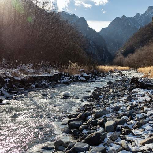 Photo #13254205