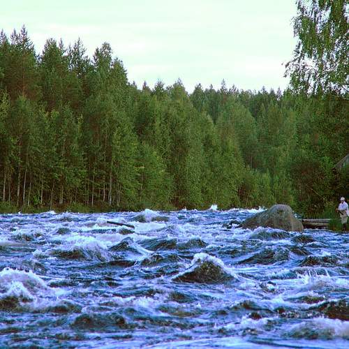 Photo #13254219