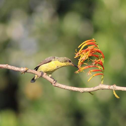 Photo #13254247
