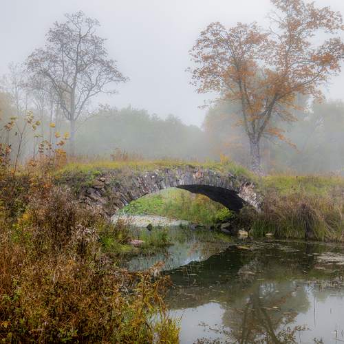 Photo #13254285