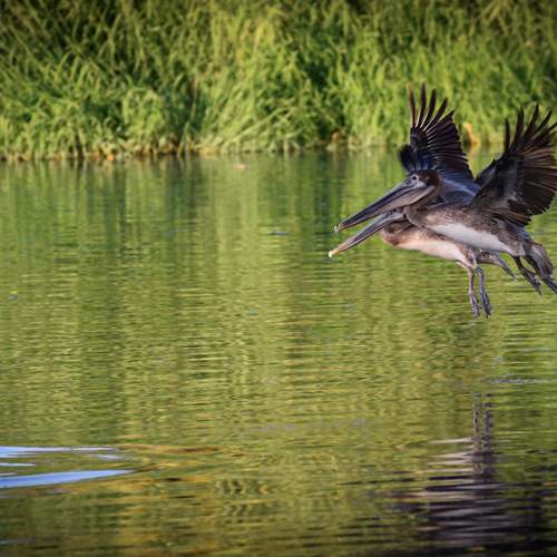 Photo #13254323