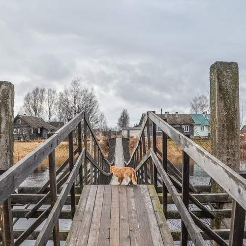 Photo #13254329