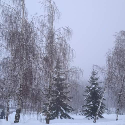 Photo #13254537
