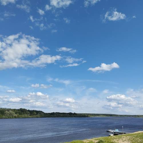 Photo #13254567