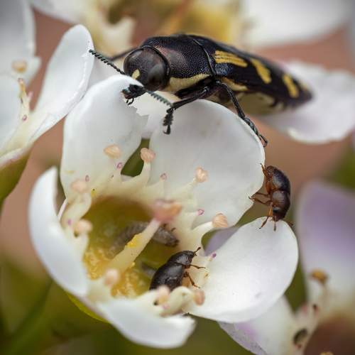 Photo #13254579