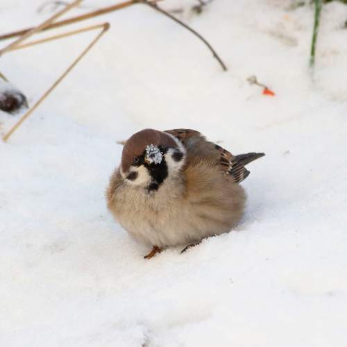 Photo #13254588