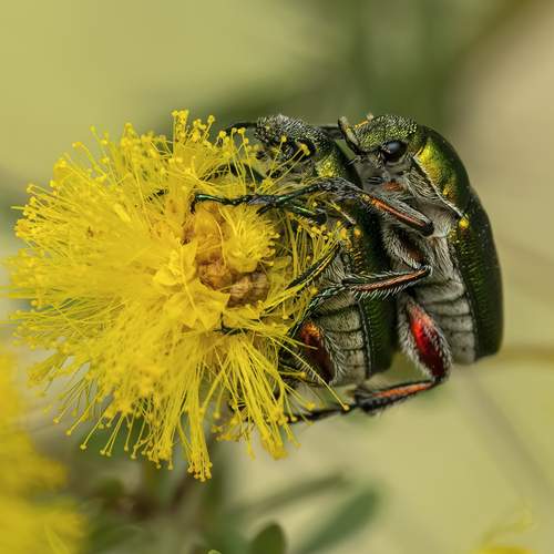 Photo #13254615