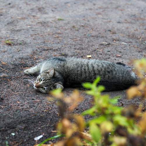 Photo #13254862