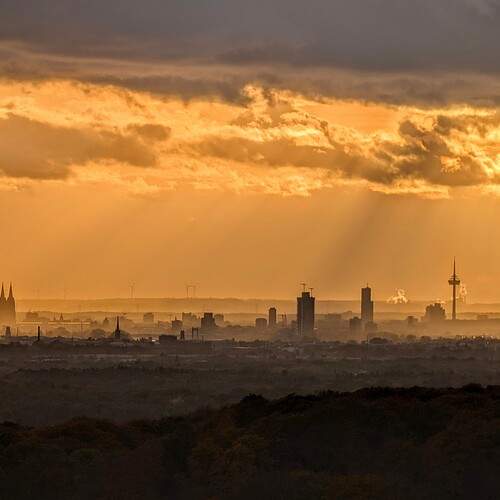 Photo #13254872