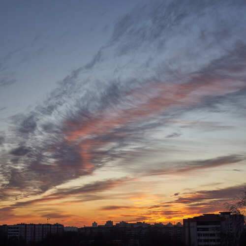 Photo #13254999
