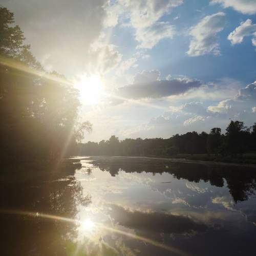 Photo #13255003