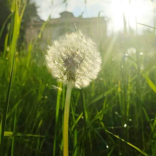 Photo #13255013