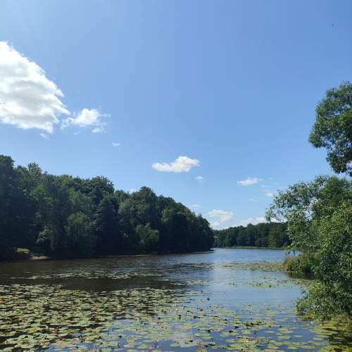Photo #13255015