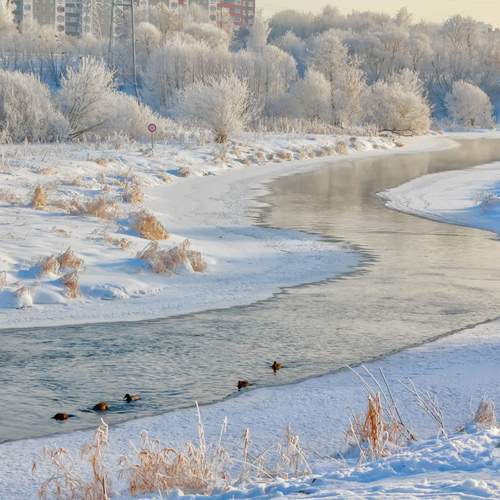 Photo #13255066