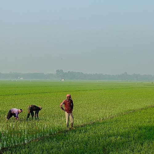 Photo #13255079