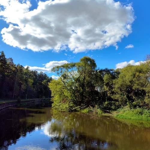 Photo #13255101