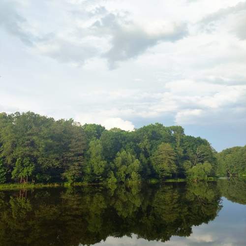 Photo #13255109